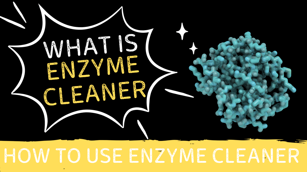 What Is Enzyme Cleaner